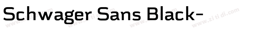 Schwager Sans Black字体转换